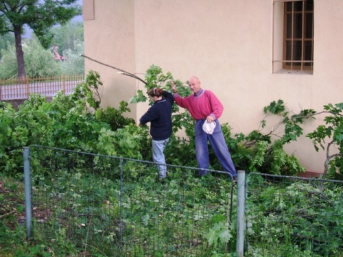 Ošetrenie drevín pri evanjelickom kostolíku