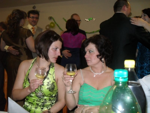 2012 - Fašiangová zábava 