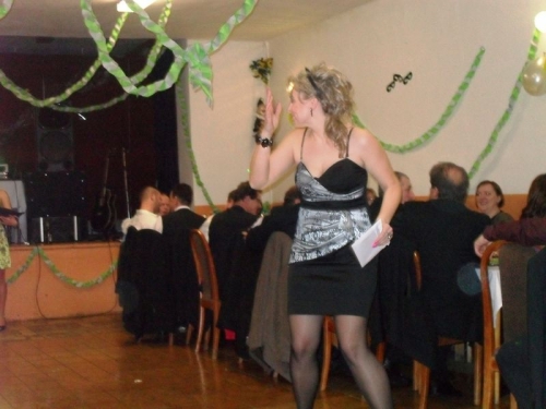 2012 - Fašiangová zábava 
