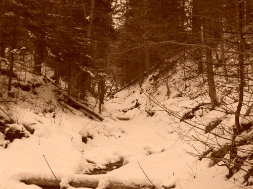 Bežecké trasy Prielomom Dunajca