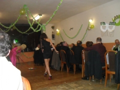 2012 - Fašiangová zábava 