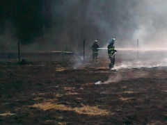 Vypaľovanie trávy v obci 26.03.2012