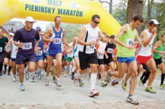 MPM 2012
