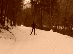 Bežecké trasy Prielomom Dunajca