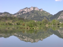 Rybník