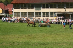 PIENAP - Furmanské preteky v obci Osturňa