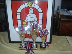 2013 - Minifutbalový turnaj generácii