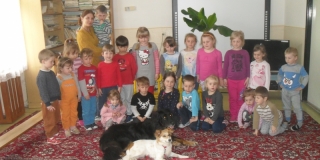 2016 - MŠ