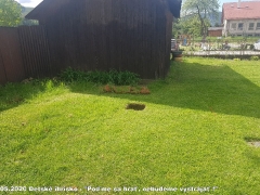 2020 - Detské ihrisko - Poďme sa hrať, nebudeme vystrájať !