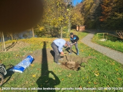2020 - Ošetrenie a údržba brehového porastu toku Dunajec