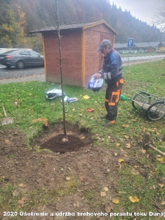 2020 - Ošetrenie a údržba brehového porastu toku Dunajec