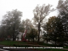 2020 - Ošetrenie a údržba brehového porastu toku Dunajec