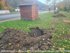 2020 - Ošetrenie a údržba brehového porastu toku Dunajec