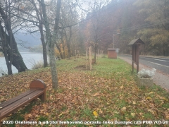 2020 - Ošetrenie a údržba brehového porastu toku Dunajec