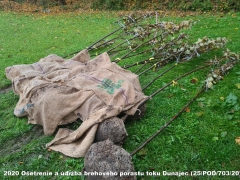 2020 - Ošetrenie a údržba brehového porastu toku Dunajec