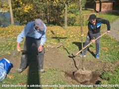 2020 - Ošetrenie a údržba brehového porastu toku Dunajec