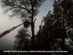 2020 - Ošetrenie a údržba brehového porastu toku Dunajec