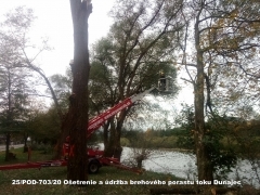 2020 - Ošetrenie a údržba brehového porastu toku Dunajec