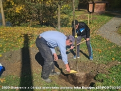 2020 - Ošetrenie a údržba brehového porastu toku Dunajec