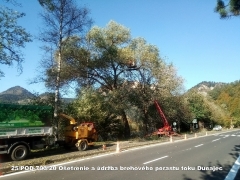 2020 - Ošetrenie a údržba brehového porastu toku Dunajec