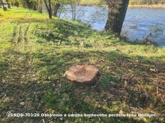 2020 - Ošetrenie a údržba brehového porastu toku Dunajec