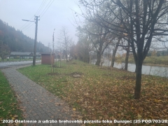 2020 - Ošetrenie a údržba brehového porastu toku Dunajec