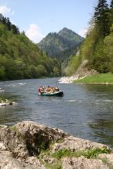 200903101153500.raft006